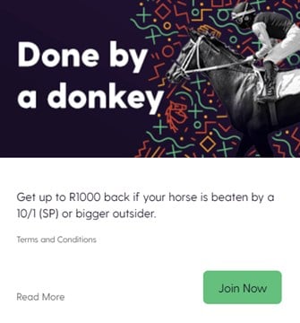 durban july special offer done by a donkey